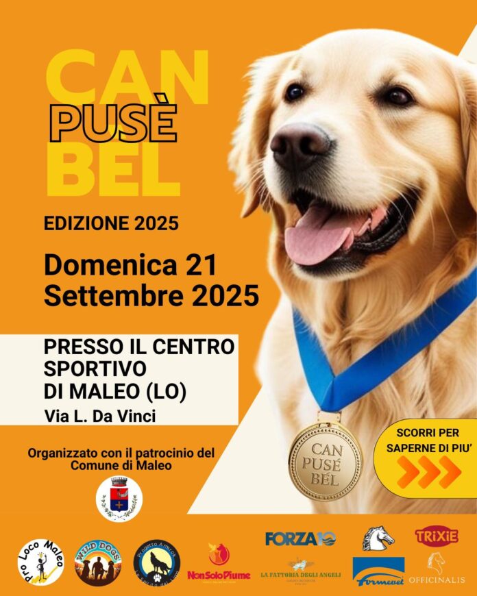 mostra_cane